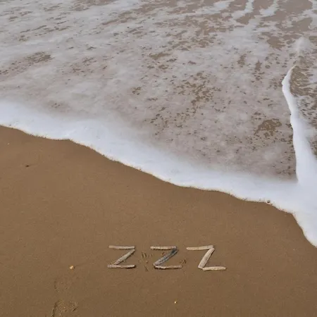 호텔 Strandhotel Zoomers