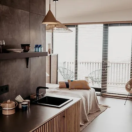 Strandhotel Zoomers מלון